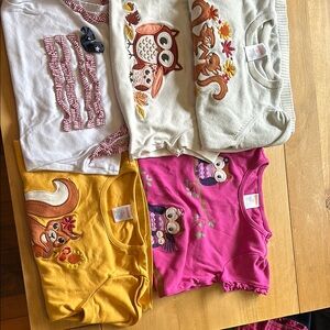 Gymboree Kids Shirts, Sweater - 5T.